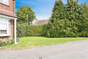 Photo 11- click for photo gallery